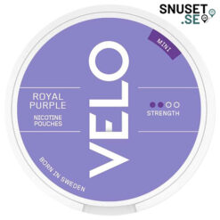 Velo-Royal-Purple-Stark-Mini-snuset
