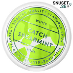 Catch-Spearmint-Minisnus-snuset