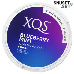 XQS Blueberry Mint ny design
