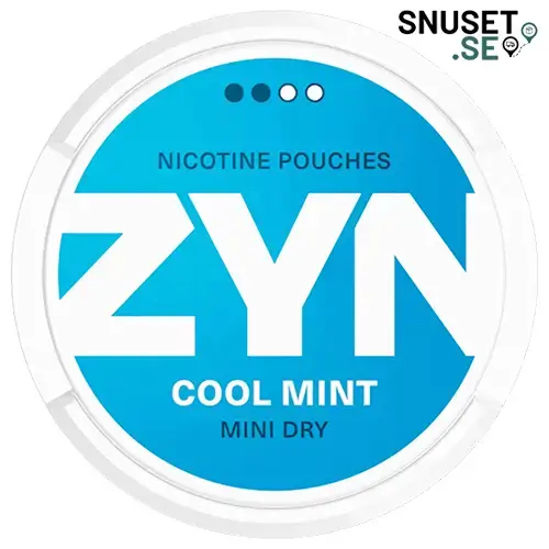 Zyn Cool Mint Mini Dry 2