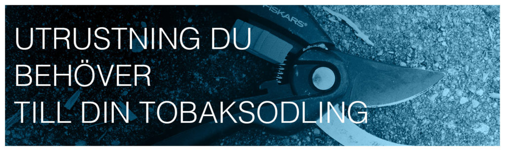 Utrustning du behöver till din tobaksodling