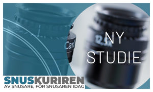 Ny studie bekräftar: gravida ska inte snusa