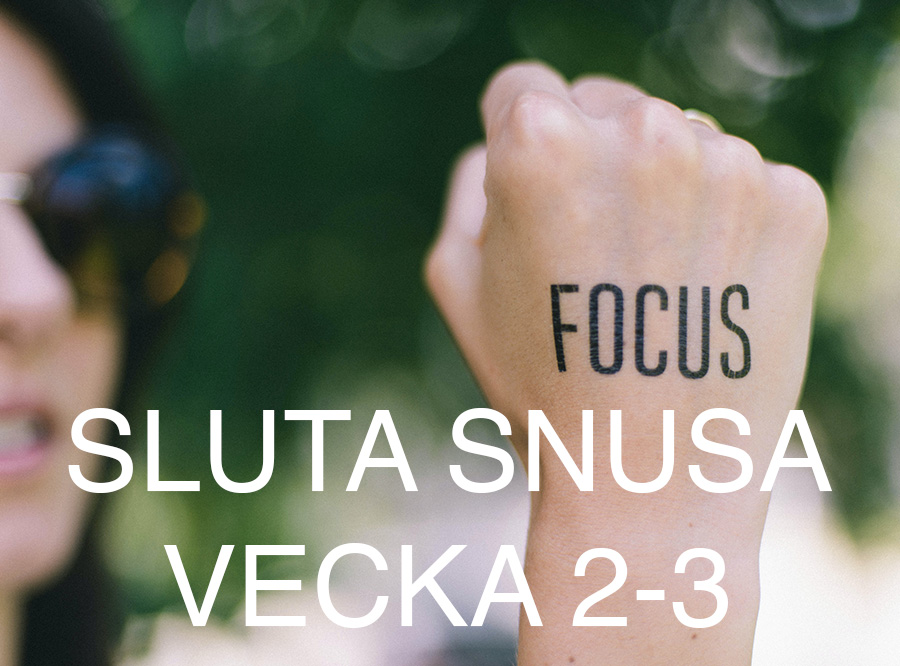 Sluta snusa vecka 2-3