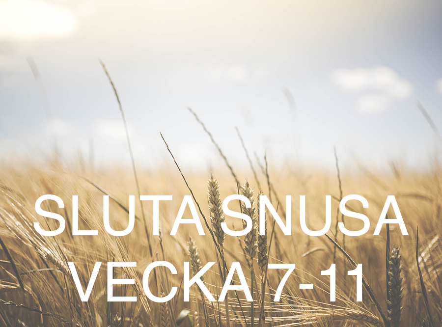 Sluta snusa vecka 7-11