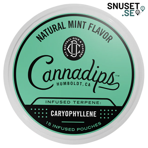 Cannadips Natural Mint Caryophyllene nikotinfritt snus