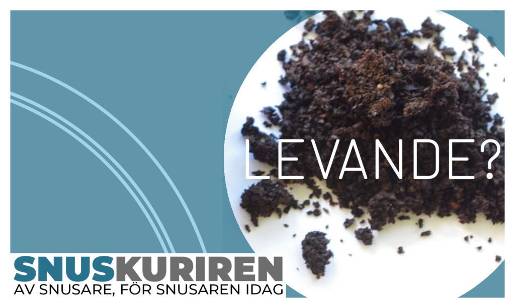 Redaktionens djupdykning i Google-data avslöjar de senaste trenderna och vanorna gällande det svenska lössnuset.