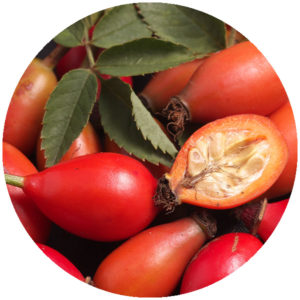 Snus med smak av nypon