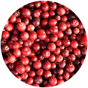 Snus med smak av tranbär