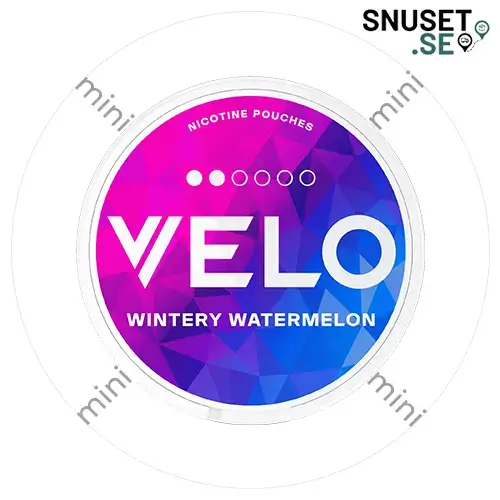 Velo Wintery Watermelon Mini Minidosa