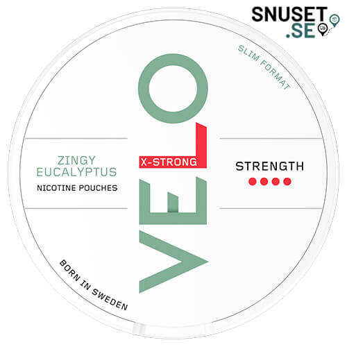 Velo Zingy Eucalyptus Stark