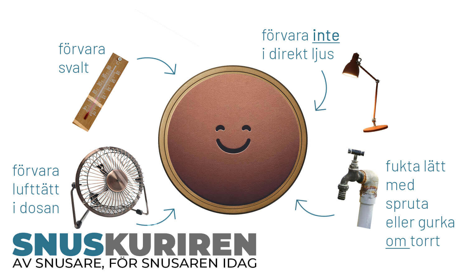 Förvara snus Infographic