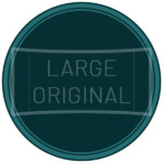 snus eller vitt snus i large original format finns ej