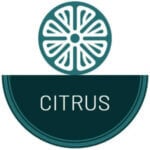 snus eller vitt snus med citrussmak