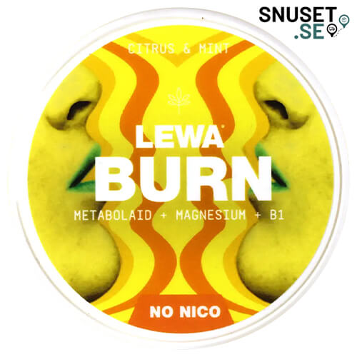 LEWA Burn Functional Citrus Mint