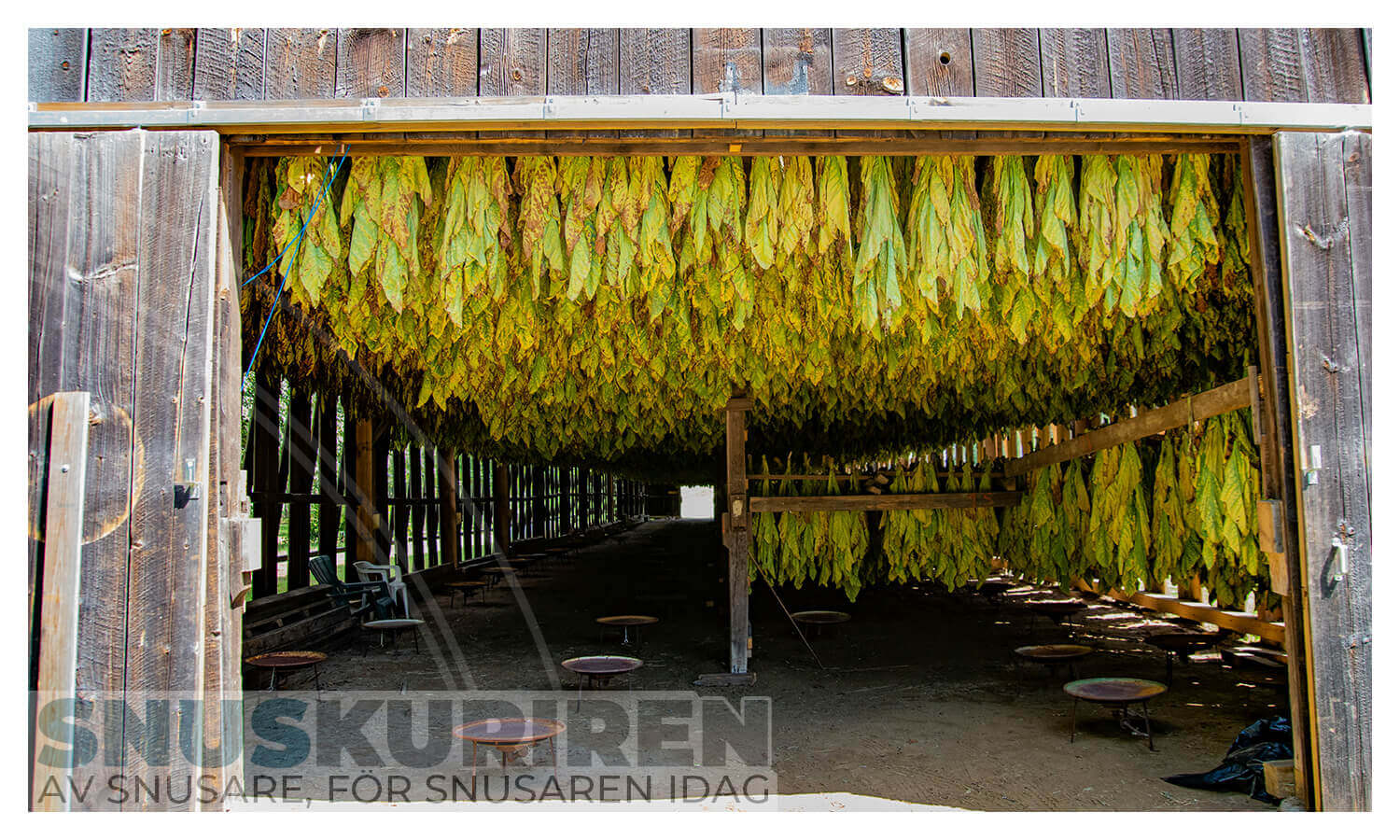 klassisk tobak och snus
