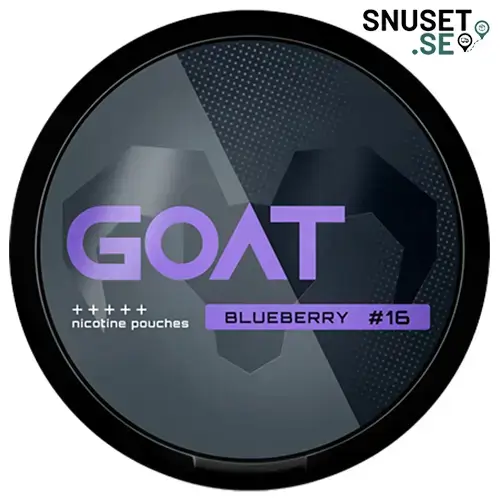 GOAT Blueberry #16
