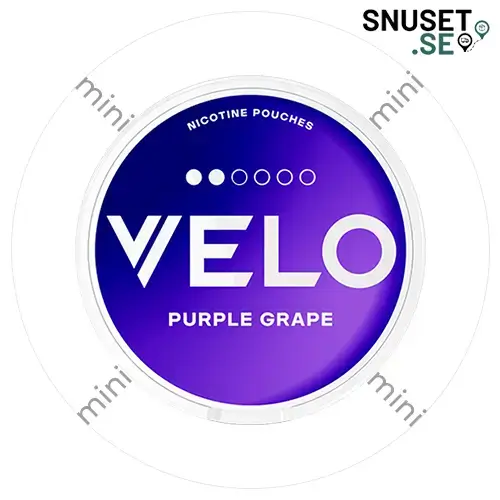 Purple Grape Mini 2 Minidosa