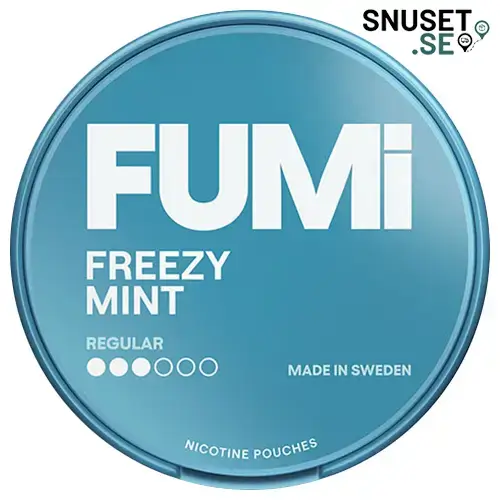 Fumi Freezy Mint Regular 3