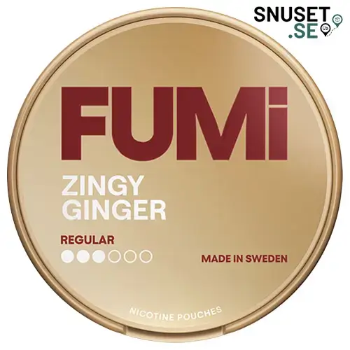 Fumi Zingy Ginger Regular 3