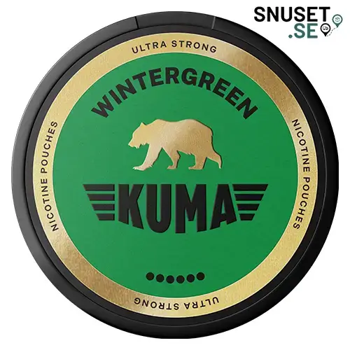 Kuma wintergreen