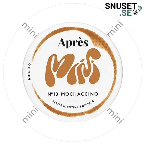 Apres Mochaccino Mini-2